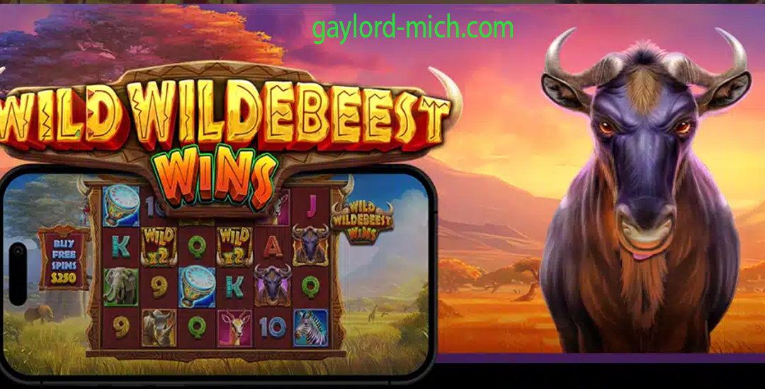 Winner Wildebeest Wins