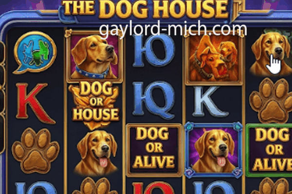 The Dog House Saloon